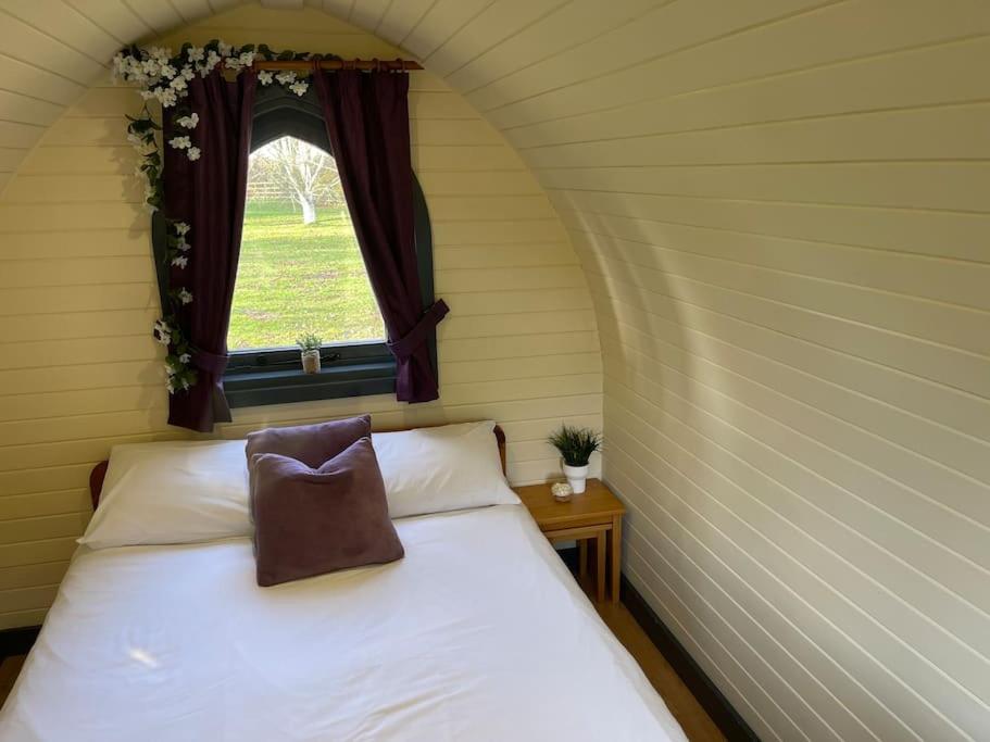 יורק Belle Vista Glamping & Camping מראה חיצוני תמונה